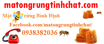 Mật ong rừng tinh chất Bình Định