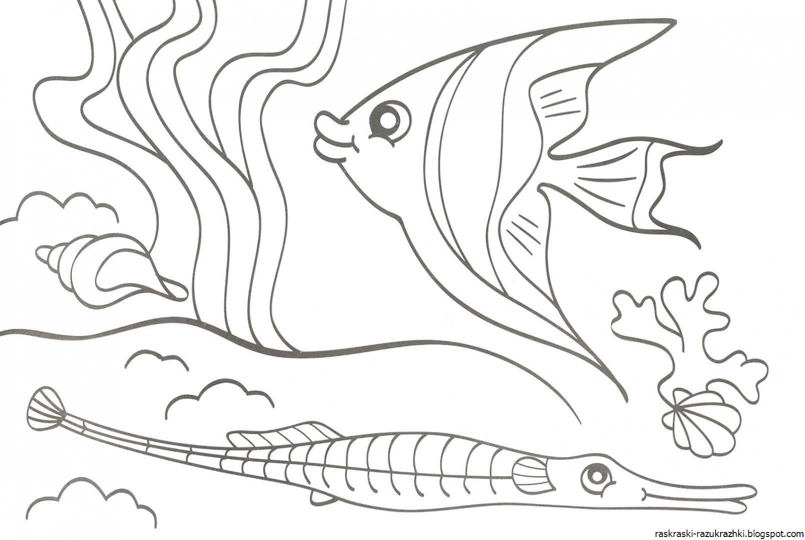 Раскраска Морские Обитатели Для Детей Распечатать