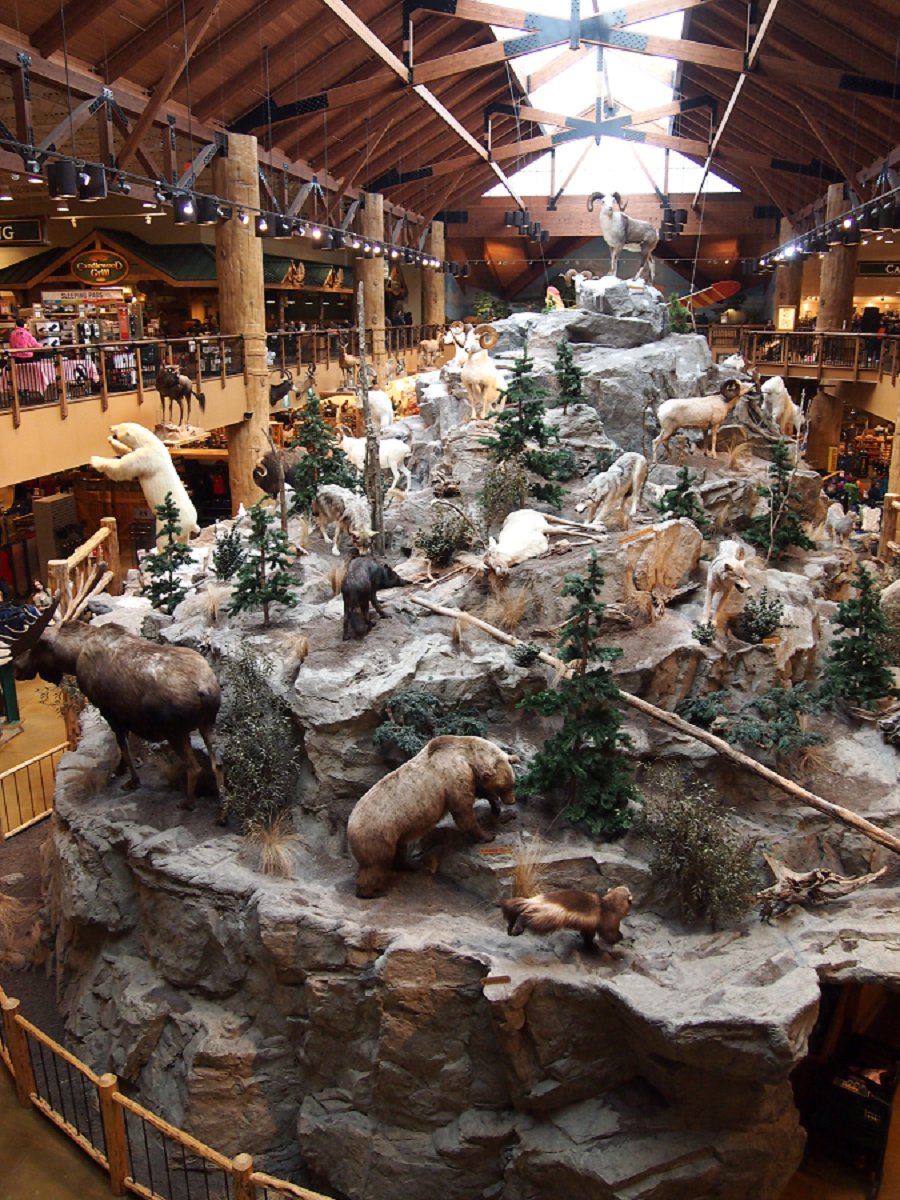 OTIS (Odd Things I've Seen) The InsideOut Museum Cabela’s in Connecticut