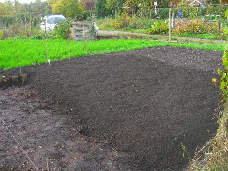 Allotment Garden The way I get rid of couch grass (Elymus repens)