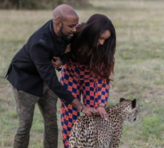 Photos: Newlyweds BankyW and Adesua play with cheetahs