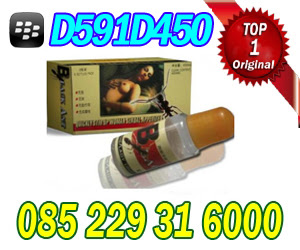 OBAT PERANGSANG BLACK ANT