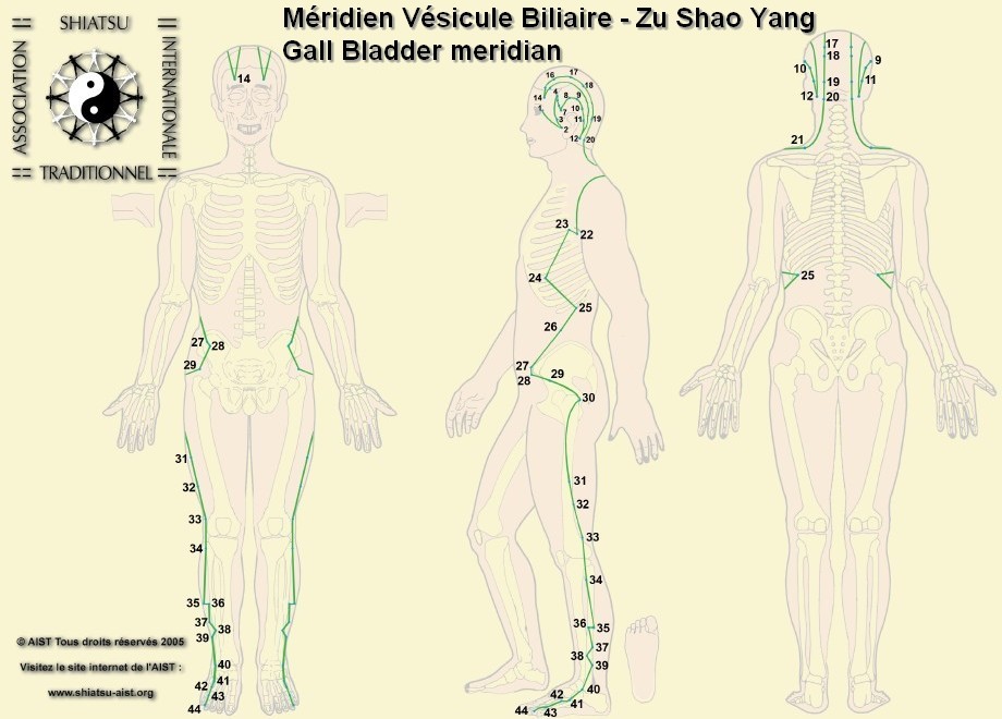 Meridians webcam. Шиатсу схема. Шиатсу акупунктура различия. Шиацу точечный массаж pdf. Шиатсу прикол.