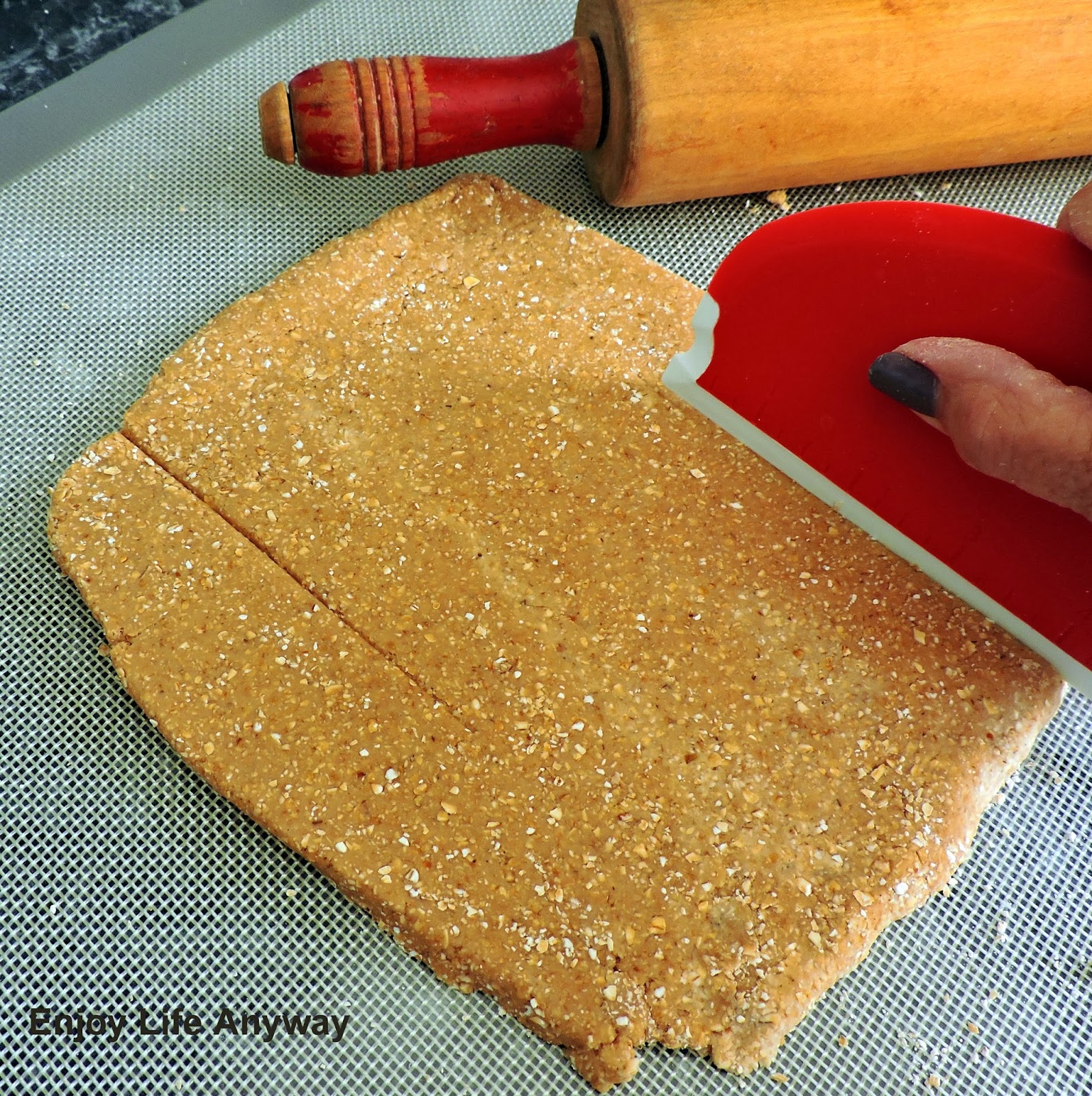 Enjoy Life Anyway Homemade Oatmeal Tuna Dog Treat Recipe