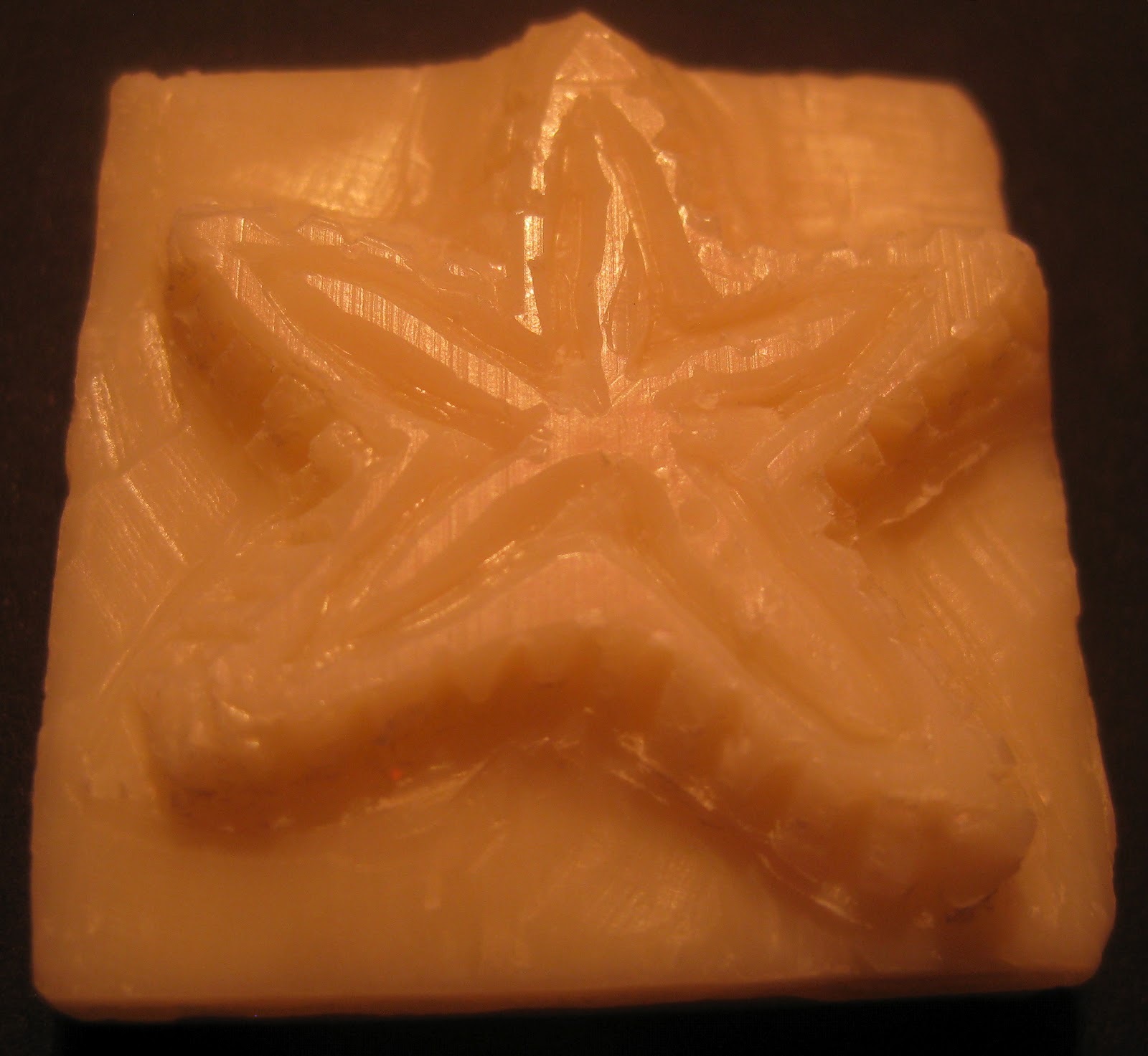 365 Days of Stargazing 231.SoapCarved Star(fish)
