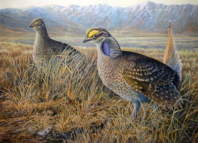 Sharp tailed grouse painting by Oregon wildlife artist Shari Erickson