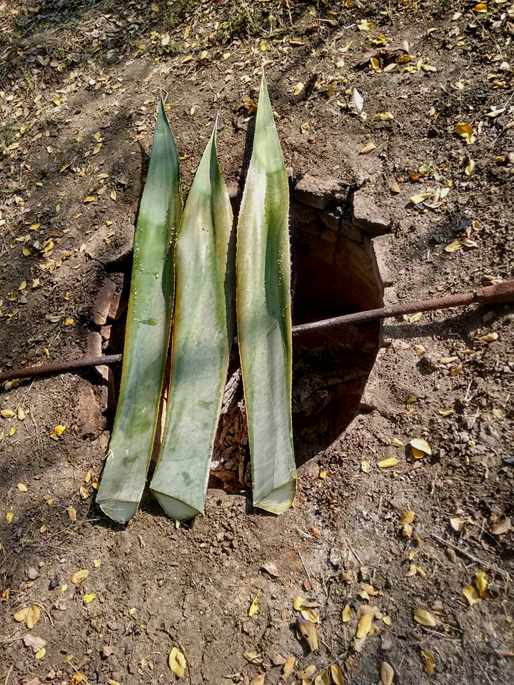 El Fogón de Leña Barbacoa de borrego en pozo.