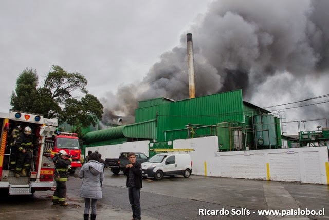 incendio%2Bfrigorifico%2Bosorno%2B%2B(2).jpg