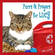 Purrs for Lucy