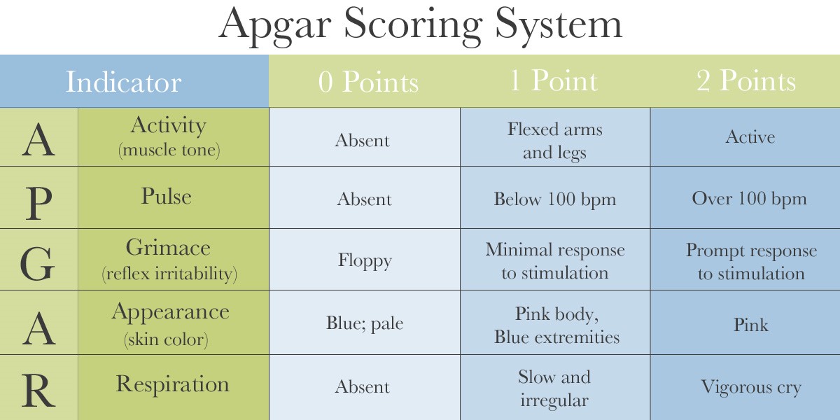 E Learning APGAR Score Acute Zorg Blog