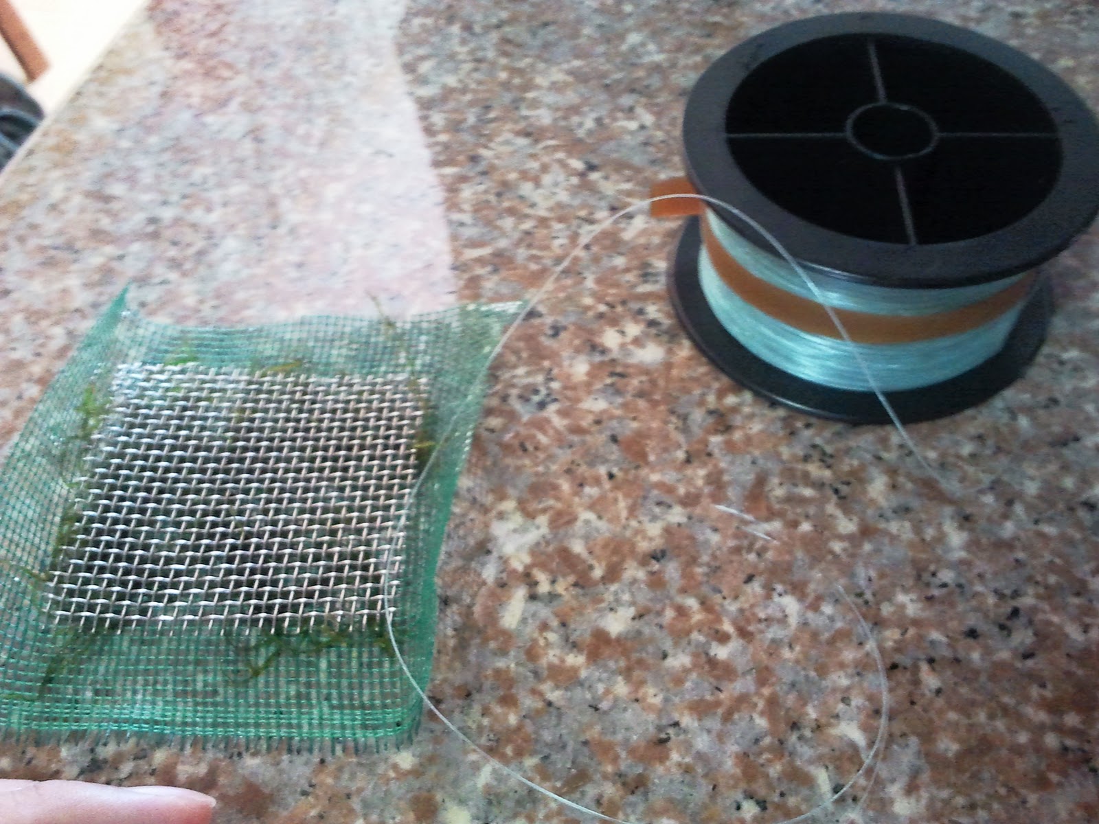 Crusty Red Shrimps [Tutorial] Making a Java/Christmas Moss Carpet