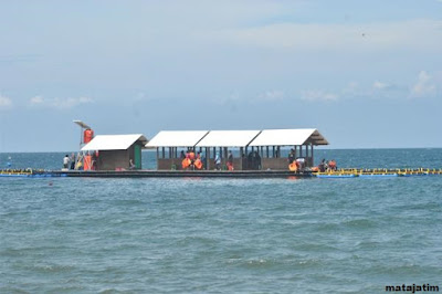 penangkaran hiu di pantai brangsing banyuwangi penangkaran hiu di pantai brangsing banyuwangi