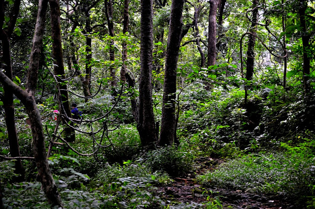 sanjay gandhi national park mumbai borivili