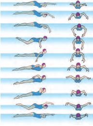 Keterampilan Gerak Renang Gaya Kupu-kupu | Gerakan Kaki, Tangan