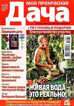   <br>   (№19 2017)<br>   