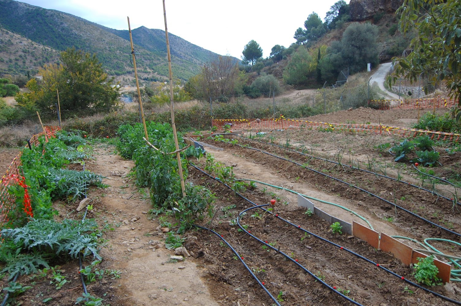 huertas eco mini parcelas huertos malaga alquiler | HUERTOS MIJAS