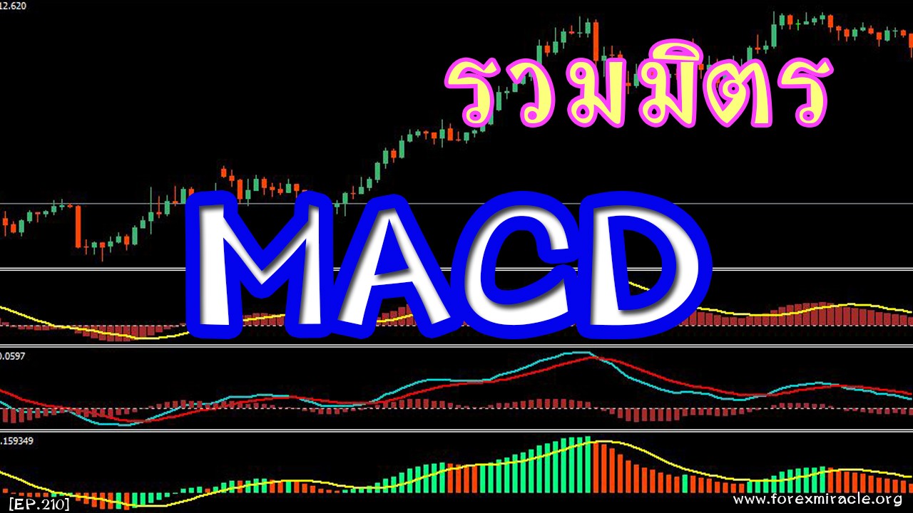 Forex expert advisor macd
