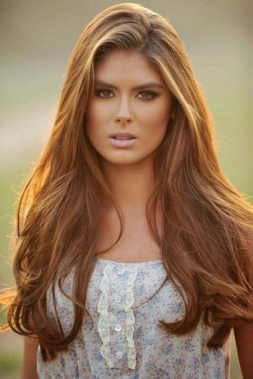 Light Brown Hair Color With Highlights
