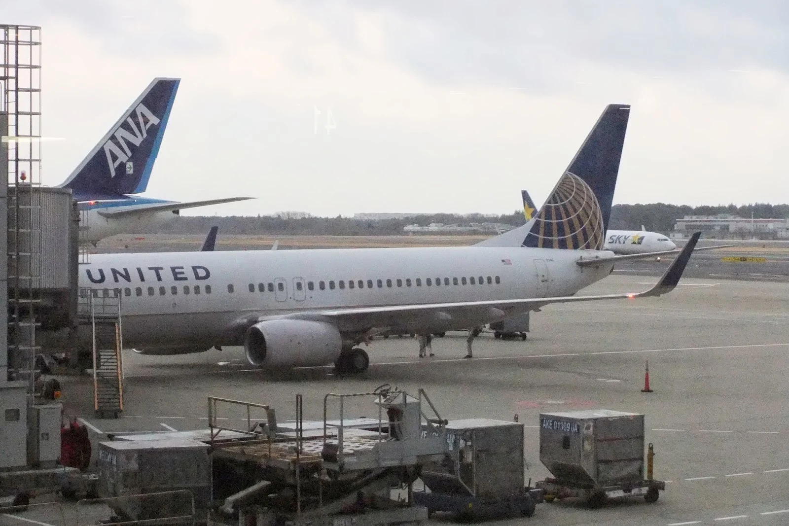 united-airlines-737　ユナイテッドエアラインズ737