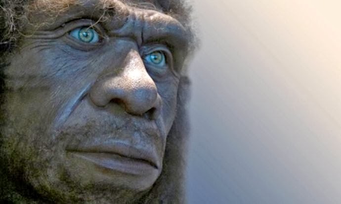 The Neanderthals' genetic legacy