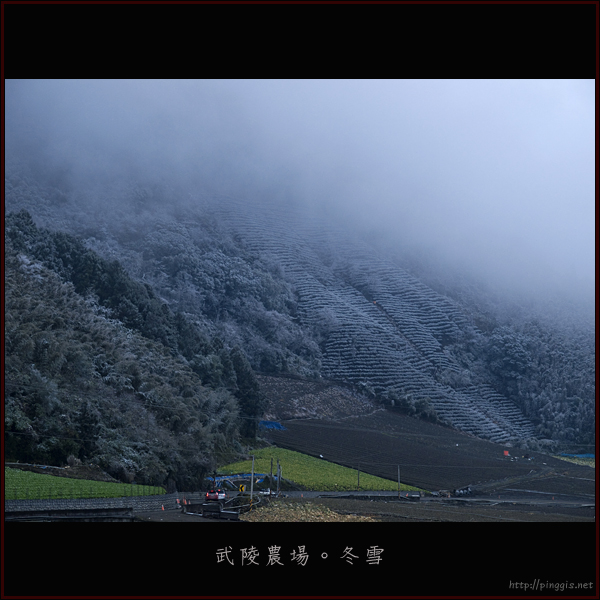 Pinggis 的旅行生活、攝影寫真: 【思源埡口】冬。雪見 Be Snowing