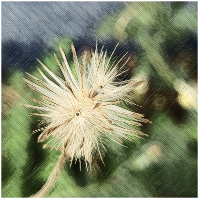My Image 35