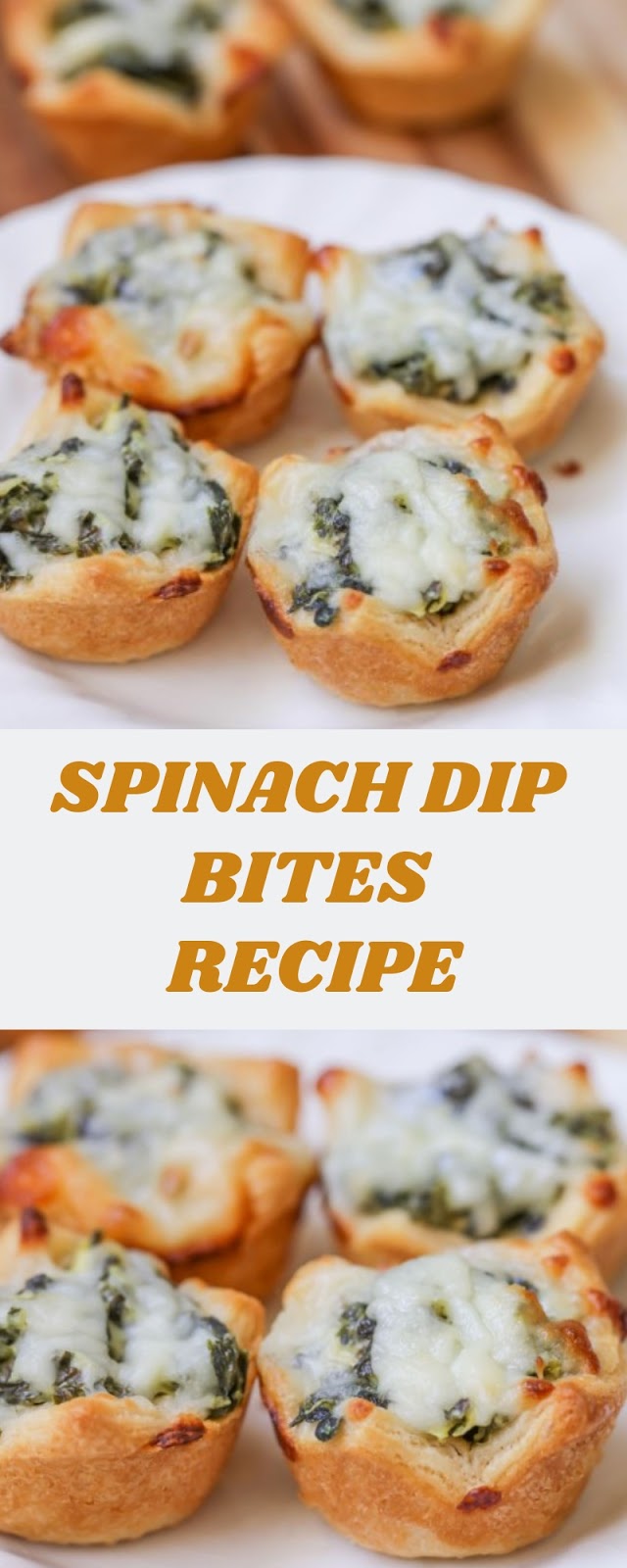 SPINACH DIP BITES RECIPE SPINACH DIP BITES RECIPE