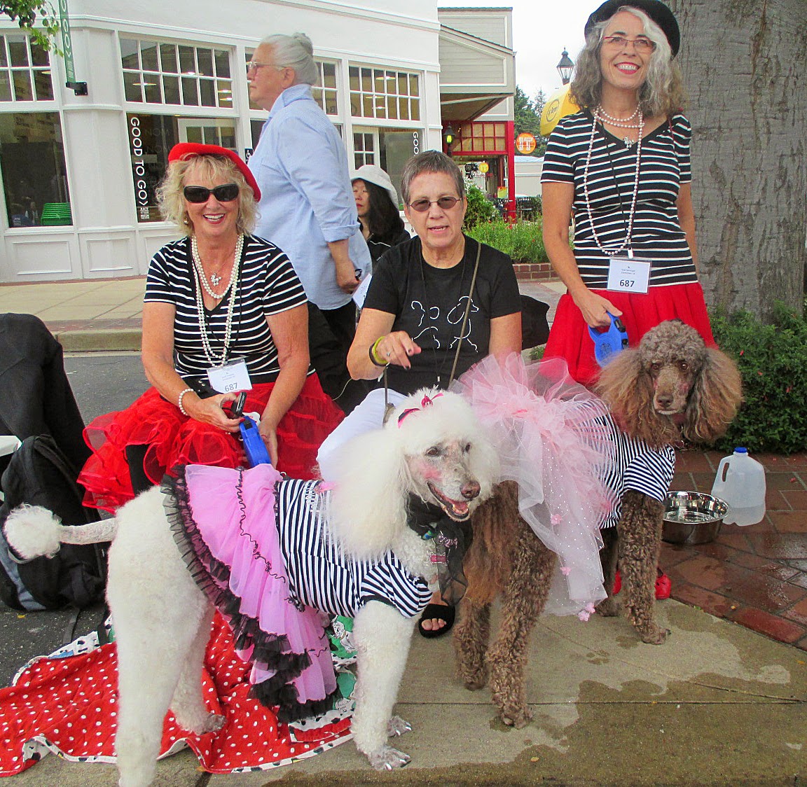 Carmel Poodle Day