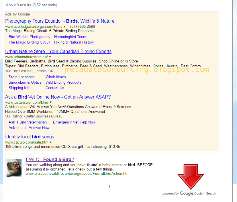 Metadata Consulting [dot] ca Google Site Search aka Google Custom