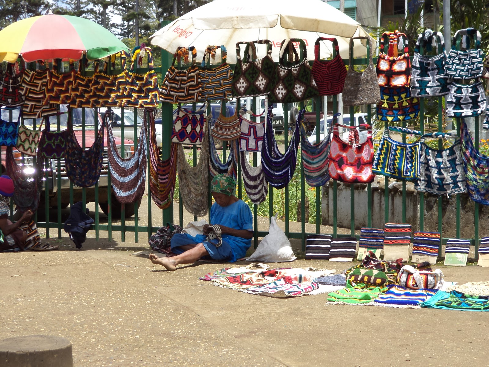 Welsh Davids Travel Blog 26 to 30 November Goroka and the Highlands