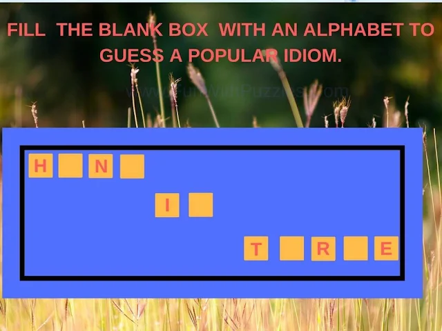 Complete the Idiom Puzzles: Fill in the Blanks-4