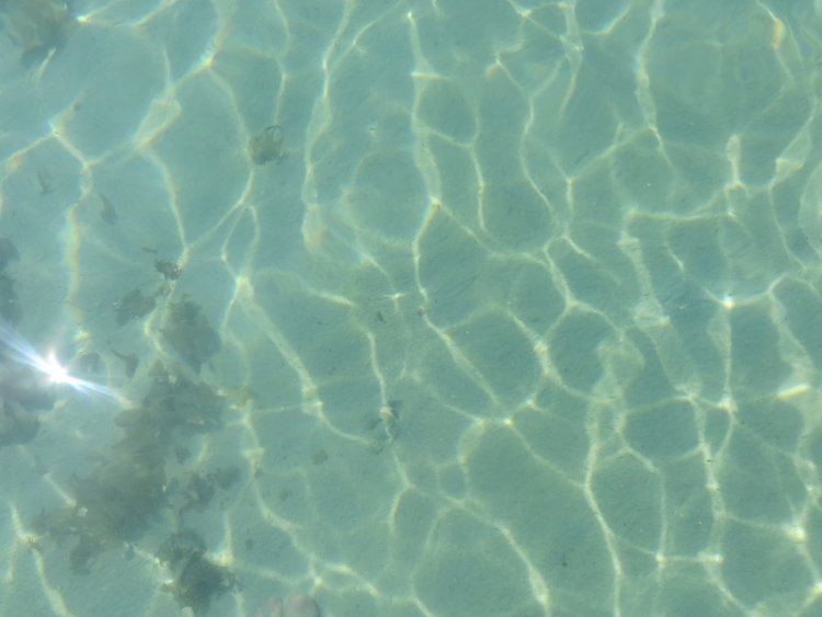 Прозрачная вода в море