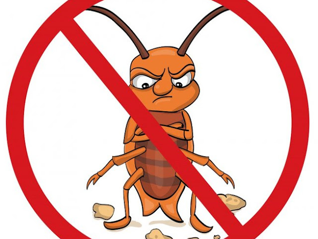 Home Remedies To Get Rid Of Roaches Home Remedies To Get Rid Of Roaches