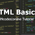 HTML Basics | 99codes
