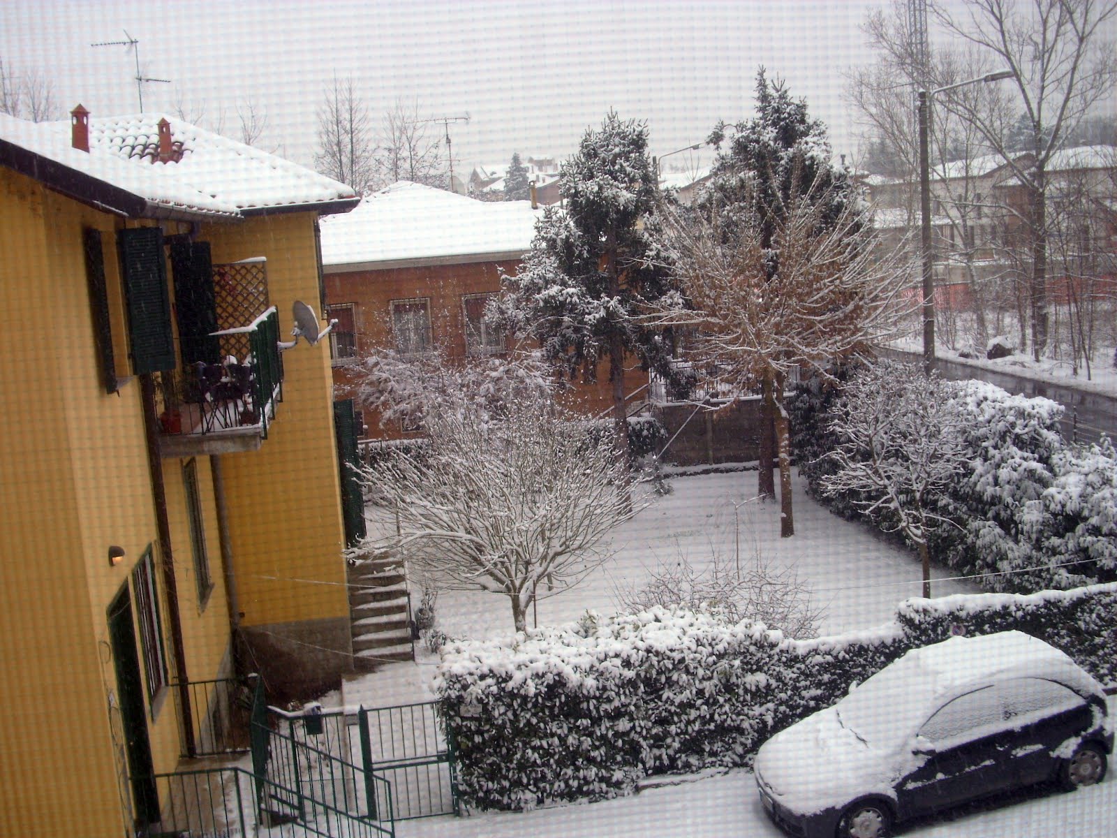 L'ultimo giorno della merla Arbustum Monsleonis