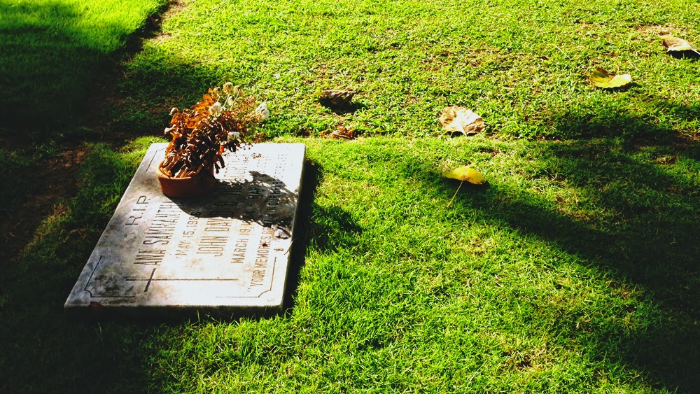 Admit it, the image of wilting flowers is arresting.