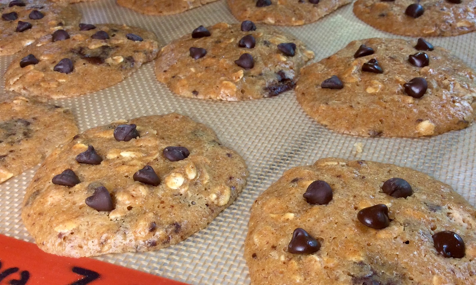 Food Fitness by Paige PB Cup Oatmeal Cookies