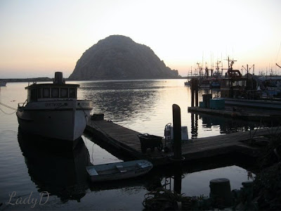 boat dock in morro bay