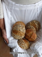 http://salzkorn.blogspot.fr/2015/10/vielfaltige-landbrotchen-mit.html