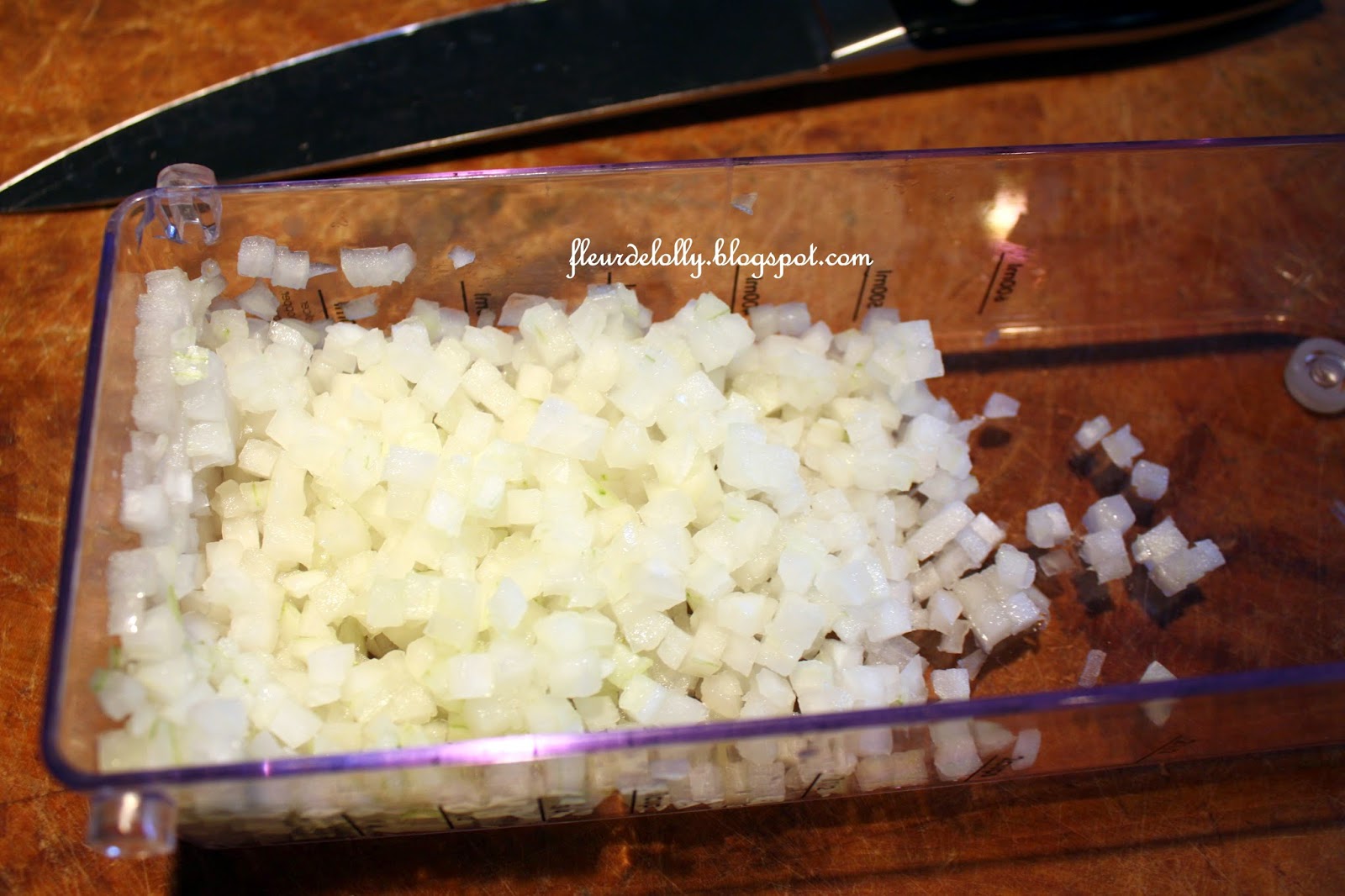 Fleur de Lolly Diced Onion Burger