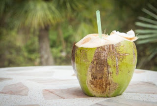 Sudah Mencoba Minum Air Kelapa? Ternyata Manfaat Air Kelapa Bisa untuk Menjaga Stamina dan Kesegaran Tubuh Waktu Melakukan aktivitas Lho! Sudah Mencoba Minum Air Kelapa? Ternyata Manfaat Air Kelapa Bisa untuk Menjaga Stamina dan Kesegaran Tubuh Waktu Melakukan aktivitas Lho!