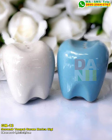 Souvenir Tempat Garam Merica Gigi