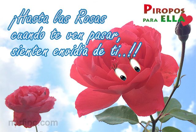 Fantasia De Amor Piropos De Amor Galanterías Y Lo Más Bello Para Ellas