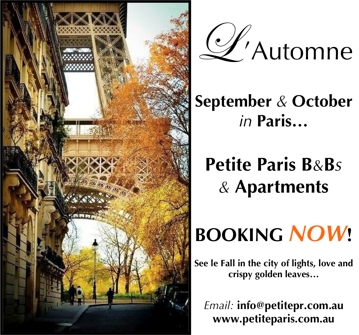 Petite Paris : Paris FALL Apartments! September and October