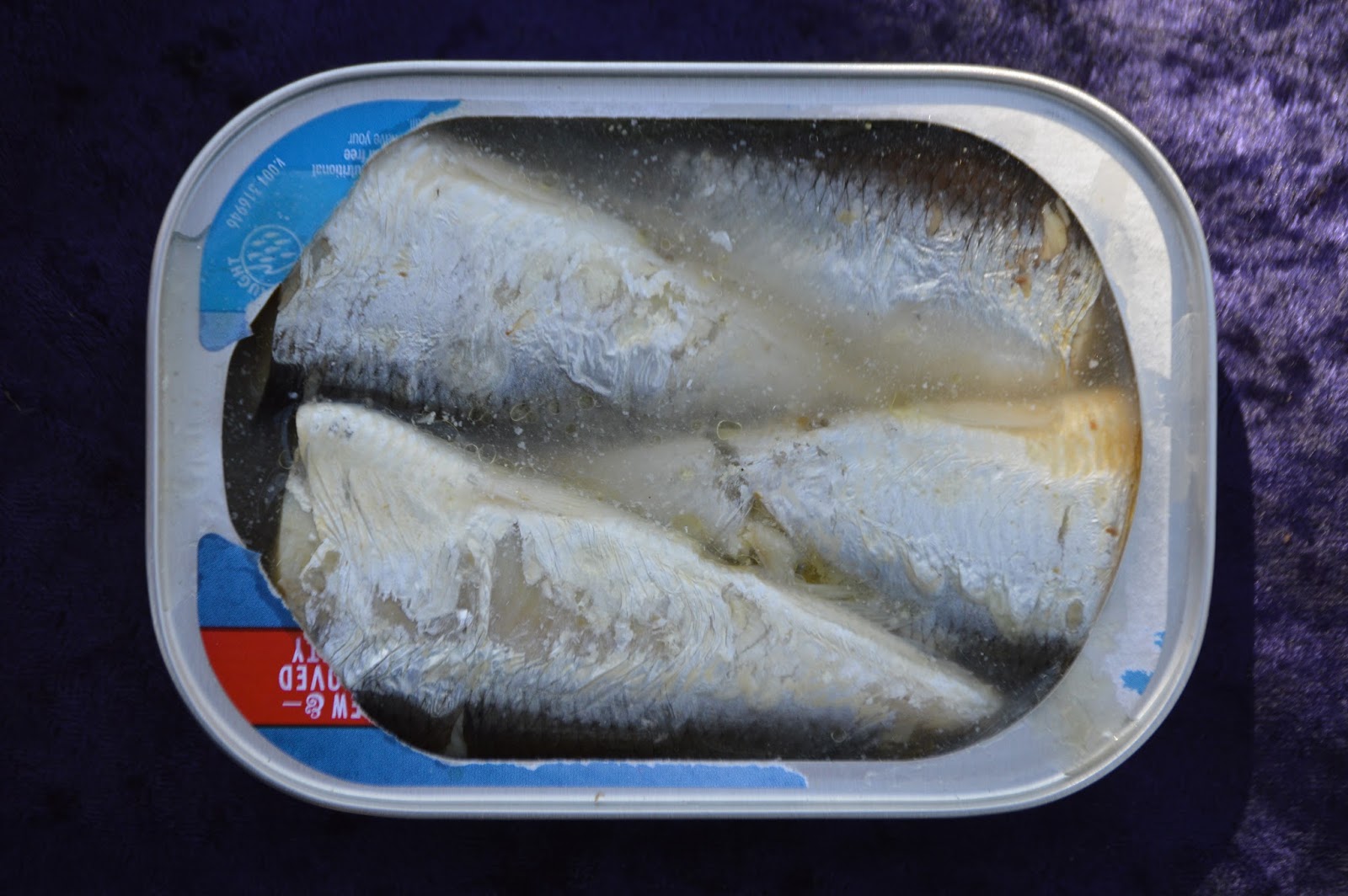 Mouth Full of Sardines Chicken of the Sea 8