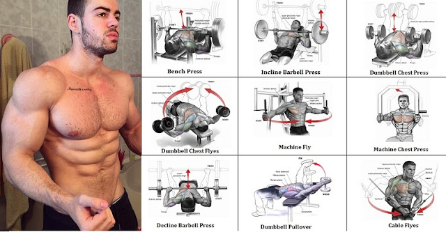 Best Bodybuilding Chest Workout You Should Know - Bodydulding