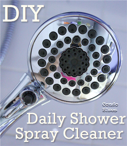 Condo Blues DIY Daily Shower Cleaner