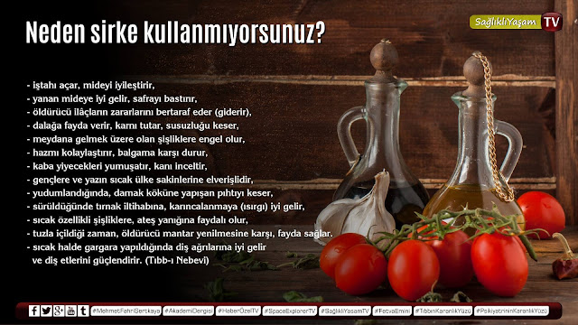 Sirkenin faydaları (Tıbb-ı Nebevi) | Akademi Dergisi akademi dergisi, sirke, mide hastalıkları, sağlık, tıbb-ı nebevi, yanık, faydaları,