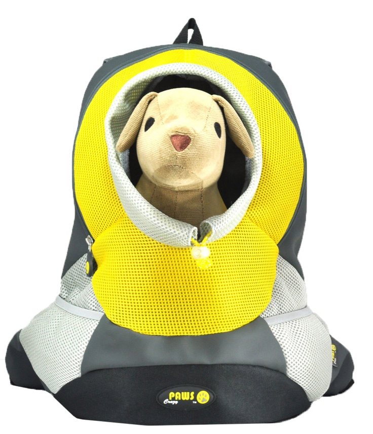 Dog Carrier Backpacks MustHave or Fad? Australian Dog Lover