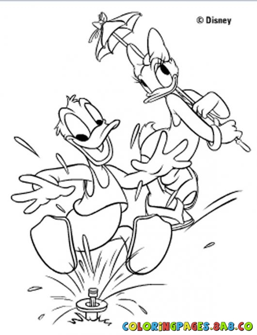 daisy duck coloring pages - photo #47